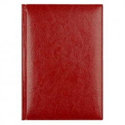 Ежедневник Birmingham, А5, датированный (2022 г.), красный